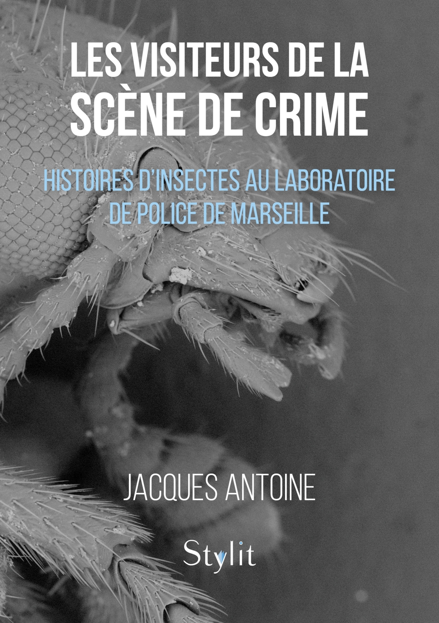 Les visiteurs de la scène de crime