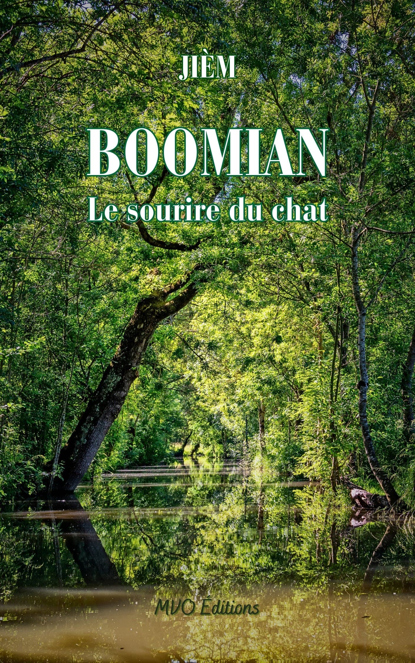 Boomian Le sourire du chat