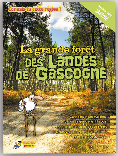 La grande forêt des Landes de Gascogne