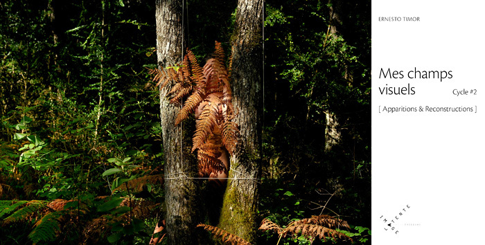 Mes champs visuels [ Apparitions & Reconstructions ] Cycle #2