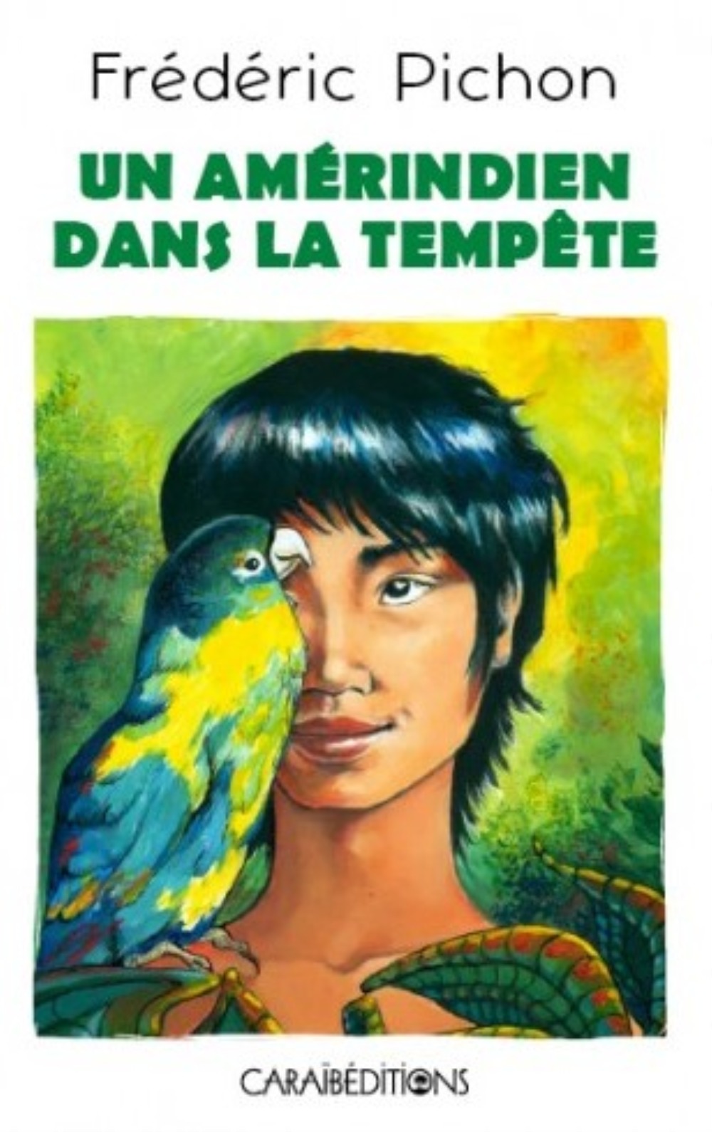 Un Amérindien dans la tempête