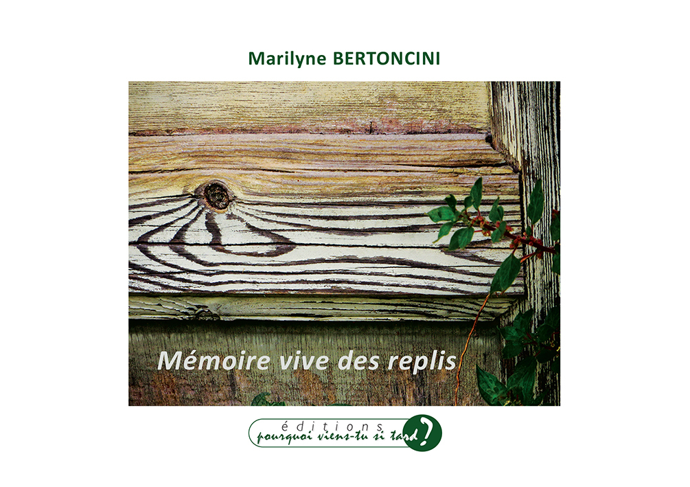 MÉMOIRE VIVE DES REPLIS