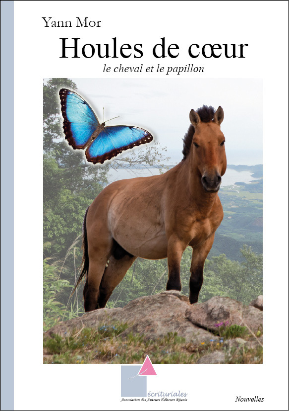 Houles de cœur – Le cheval et le papillon