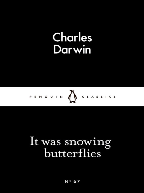It Was Snowing Butterflies