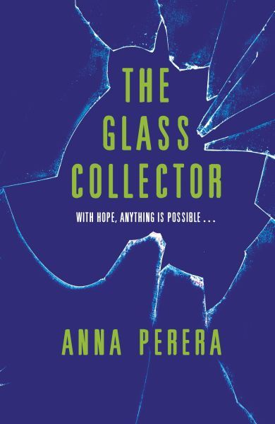 SOLDEEEEEEEE GLASS COLLECTOR, THE PD 9.8 S 2.45