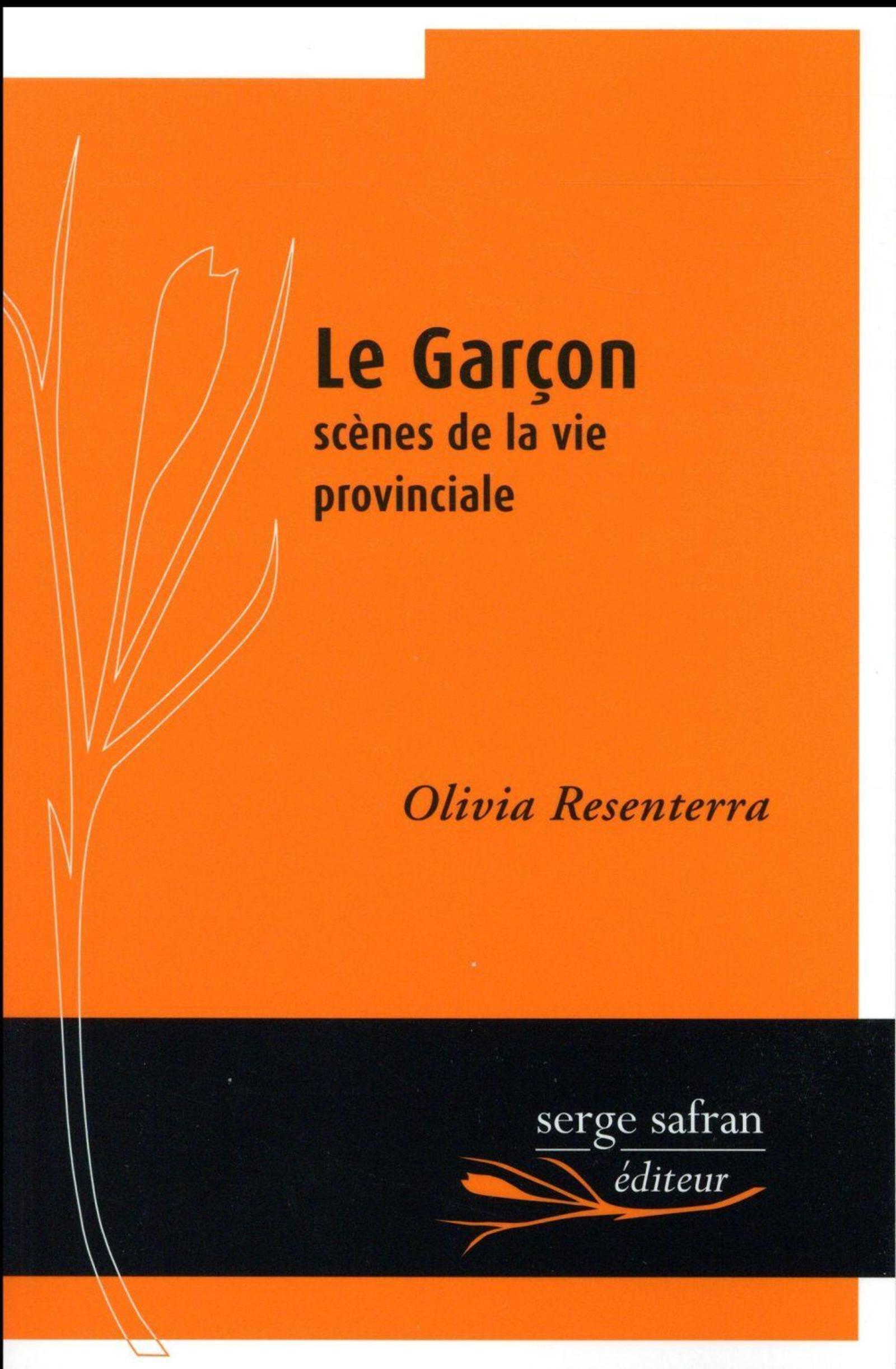 Garçon, scènes de la vie provinciale (Le)