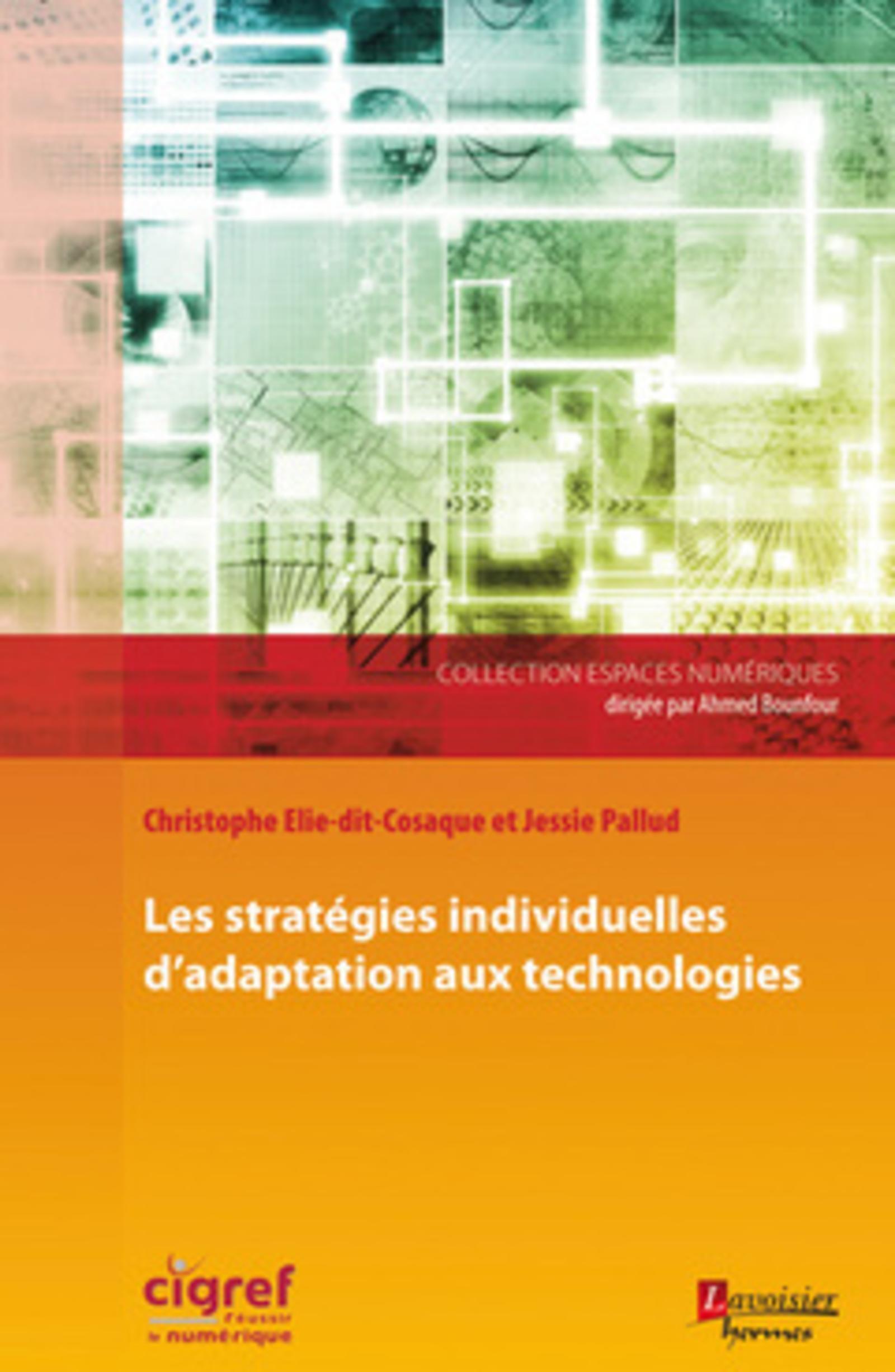 Les stratégies individuelles d'adaptation aux technologies