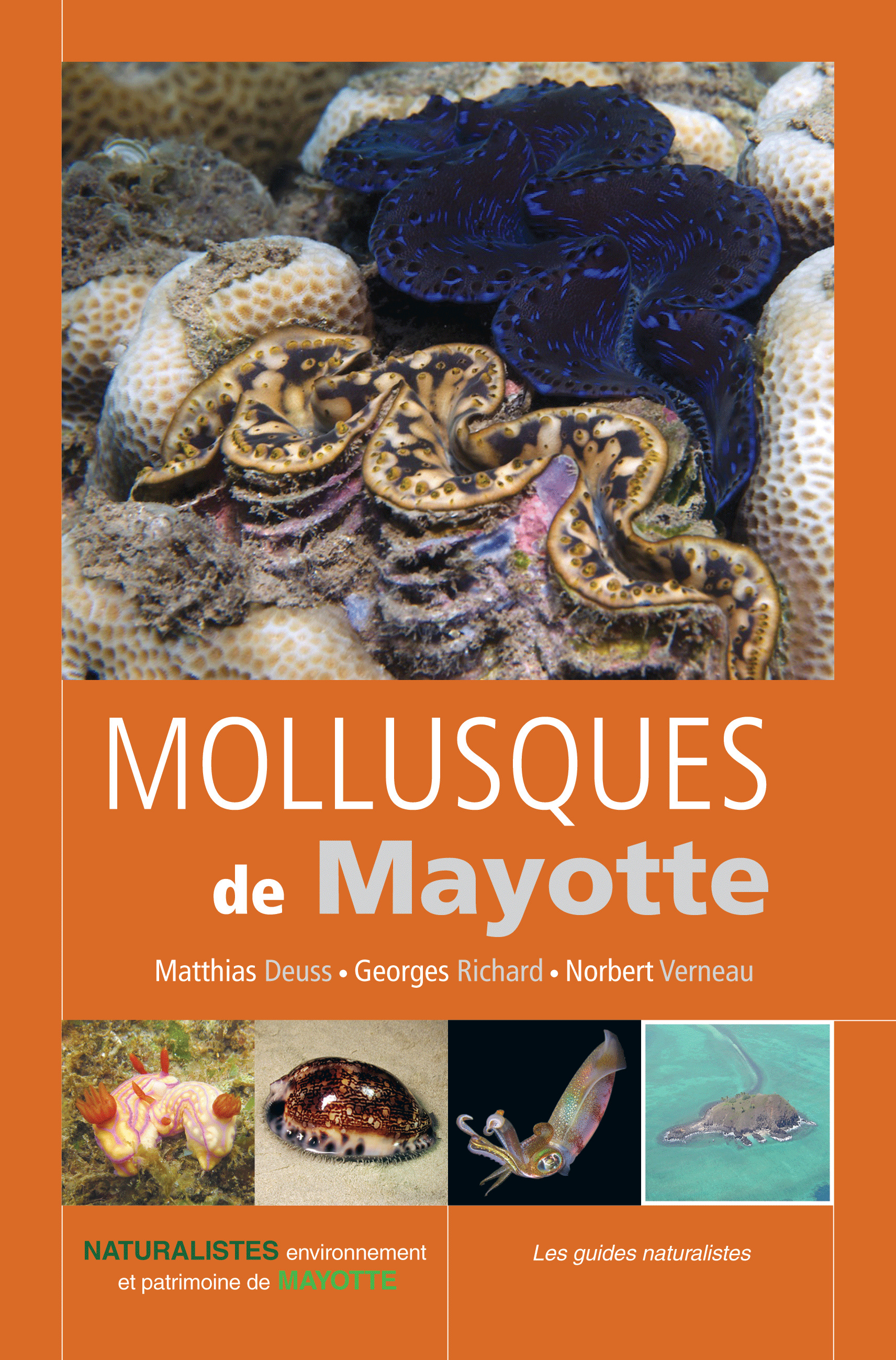Mollusques de Mayotte