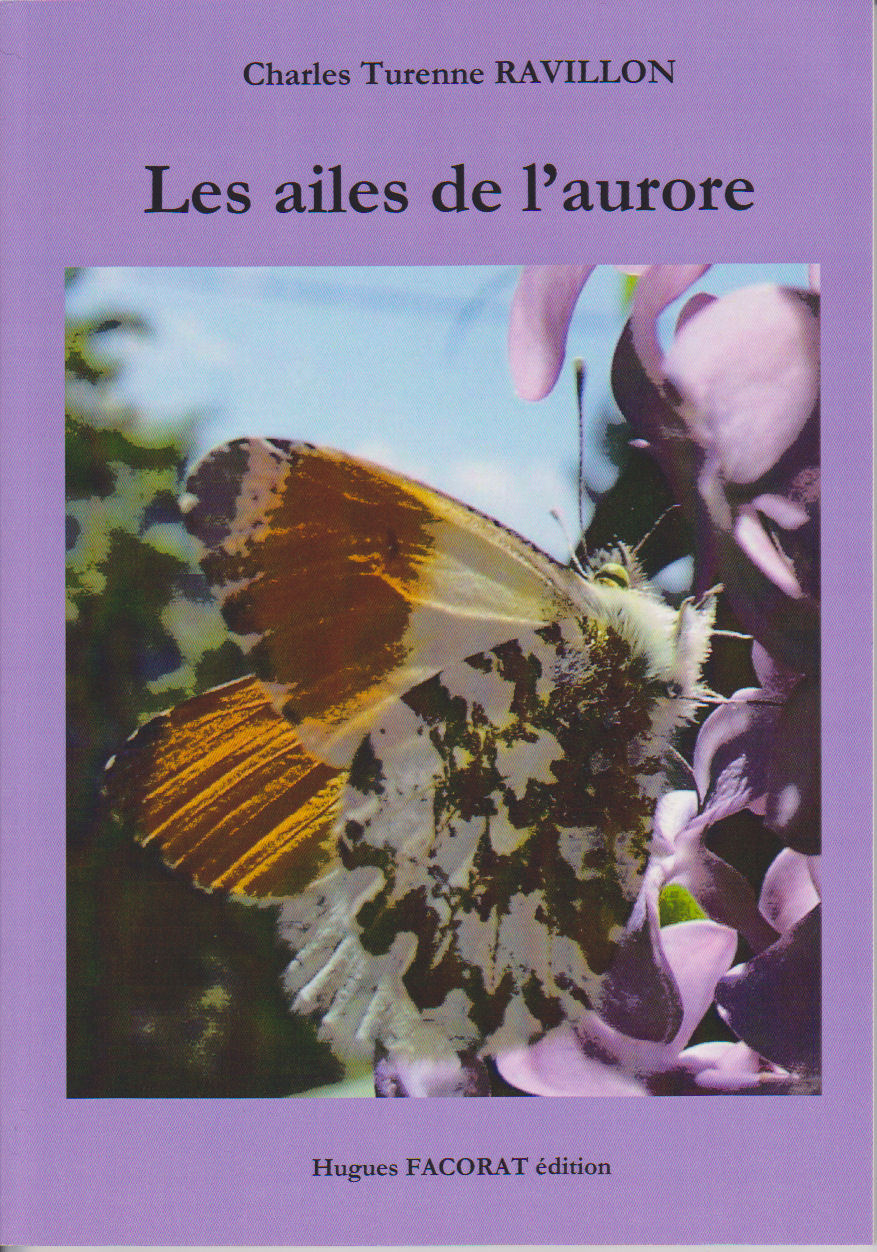 Les ailes de l'aurore