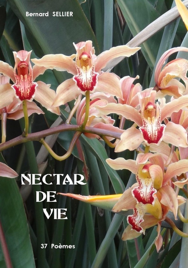 NECTAR DE VIE, poèmes