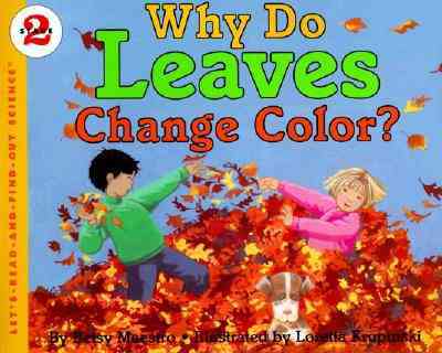 Why Do Leaves Change Colour