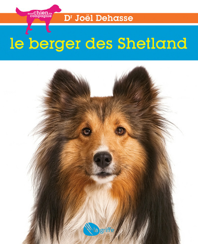 Le berger des Shetland