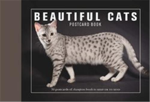 Beautiful Cats Postcard Book /anglais