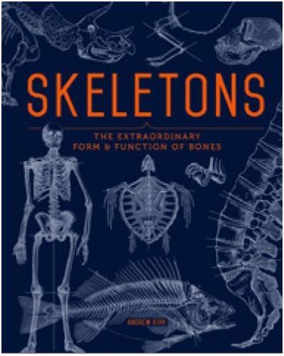 Skeletons /anglais