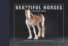 Beautiful Horses Postcard Book /anglais
