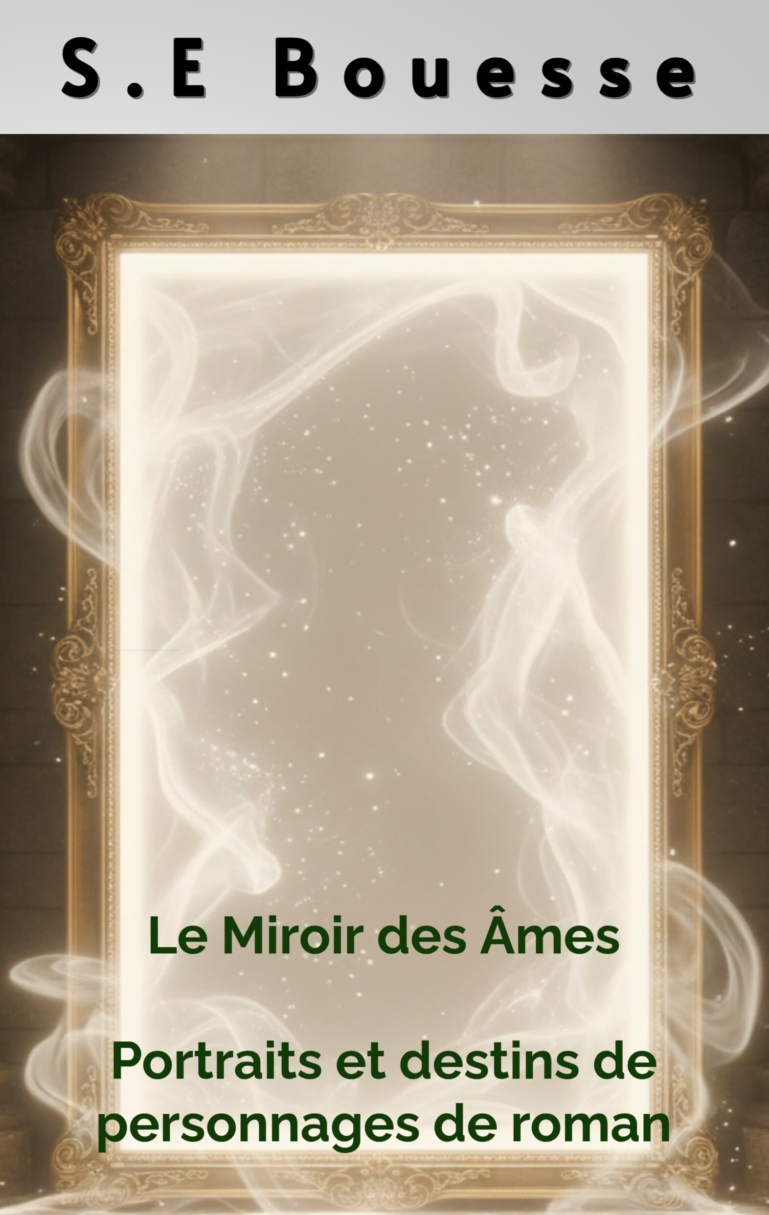 Le miroir des âmes: Portraits et destins de personnages de roman