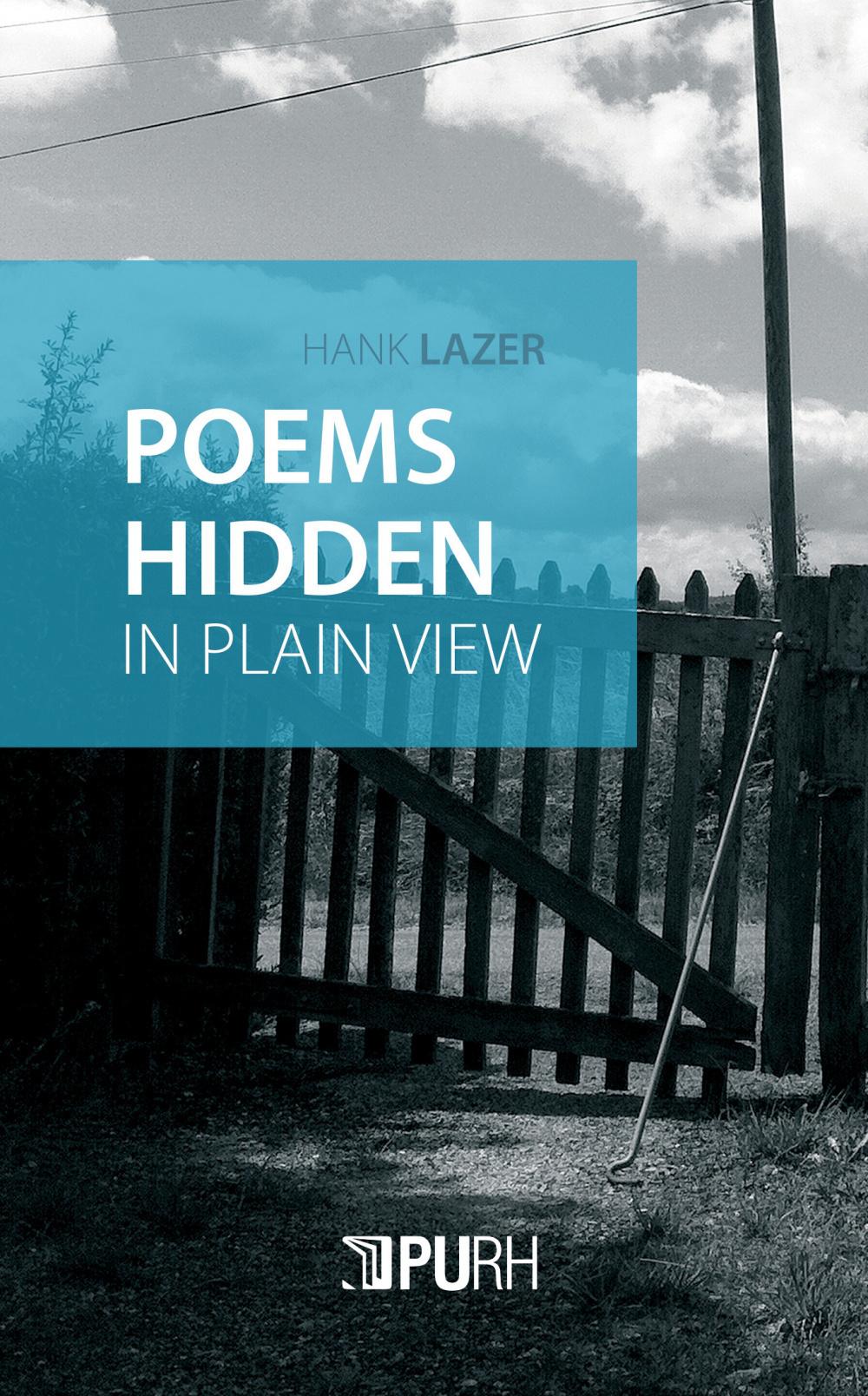 Poems hidden in plain view