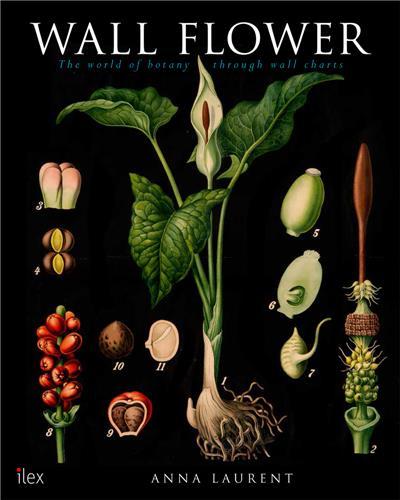 The Botanical Wallchart /anglais