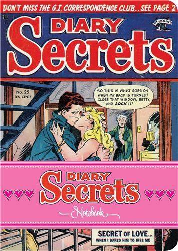 Diary Secrets Notebook /anglais