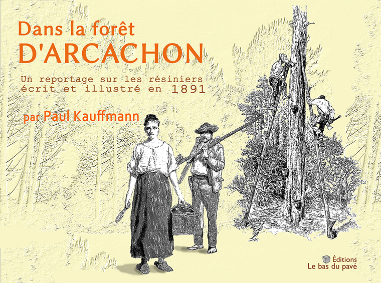 DANS LA FORET D'ARCACHON