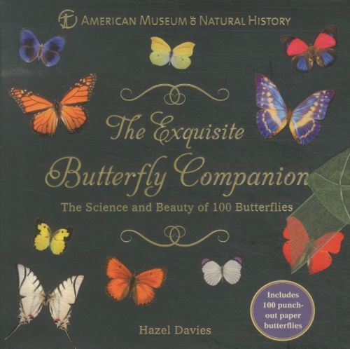 The Exquisite Butterfly Companion