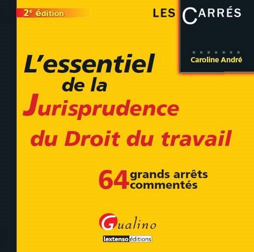 l'essentiel de la jurisprudence du droit du travail - 2ème édition