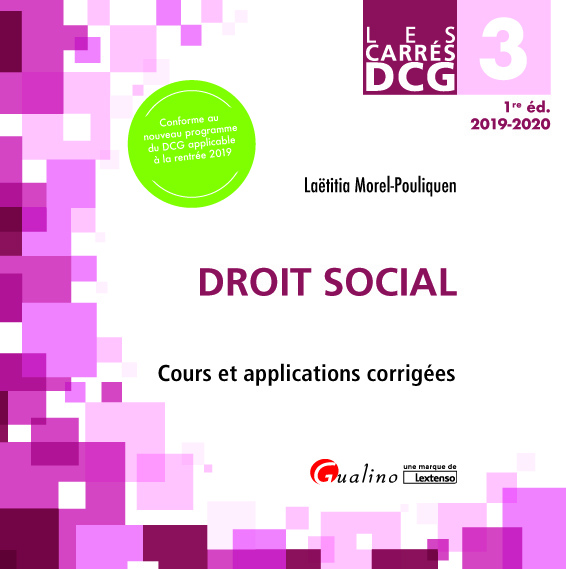 DCG 3 - Droit social