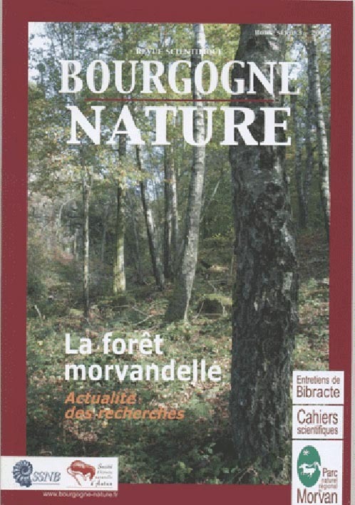 LA FORET MORVANDELLE BOURGOGNE NATURE