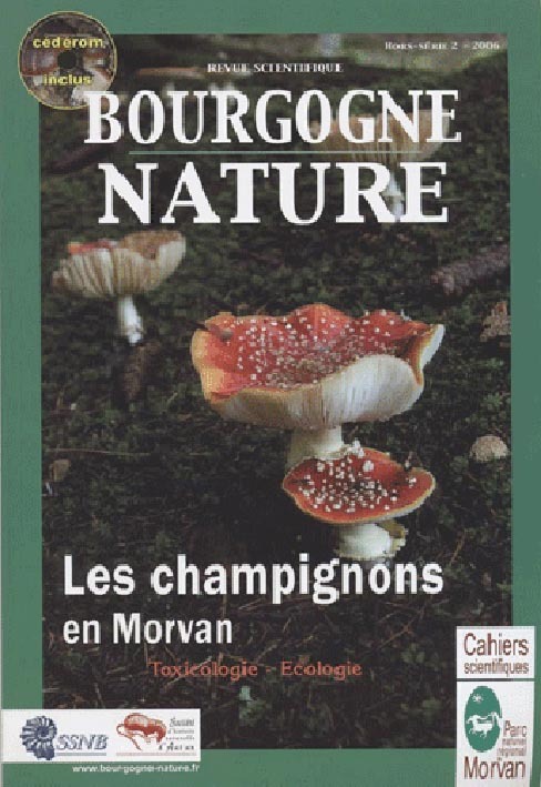 LES CHAMPIGNONS DU MORVAN BOURGOGNE NATURE