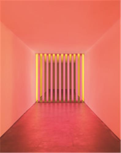 Dan Flavin Corners Barriers and Corridors /anglais