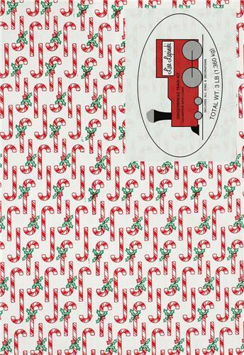 Lisa Lapinski Miss Swiss /anglais