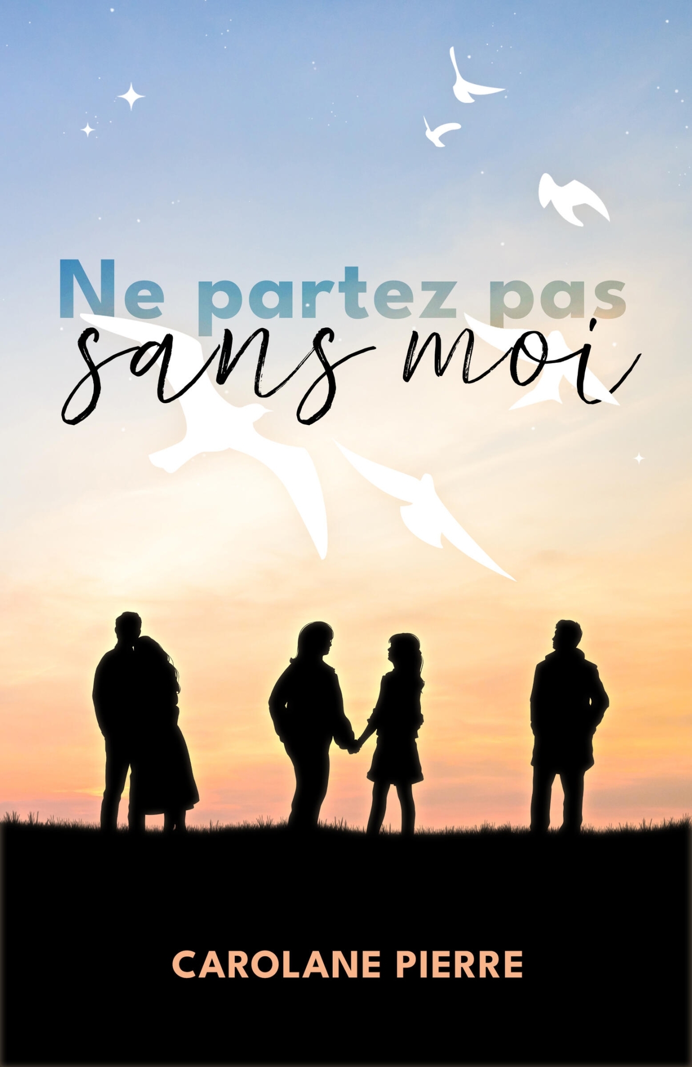 Ne partez pas sans moi
