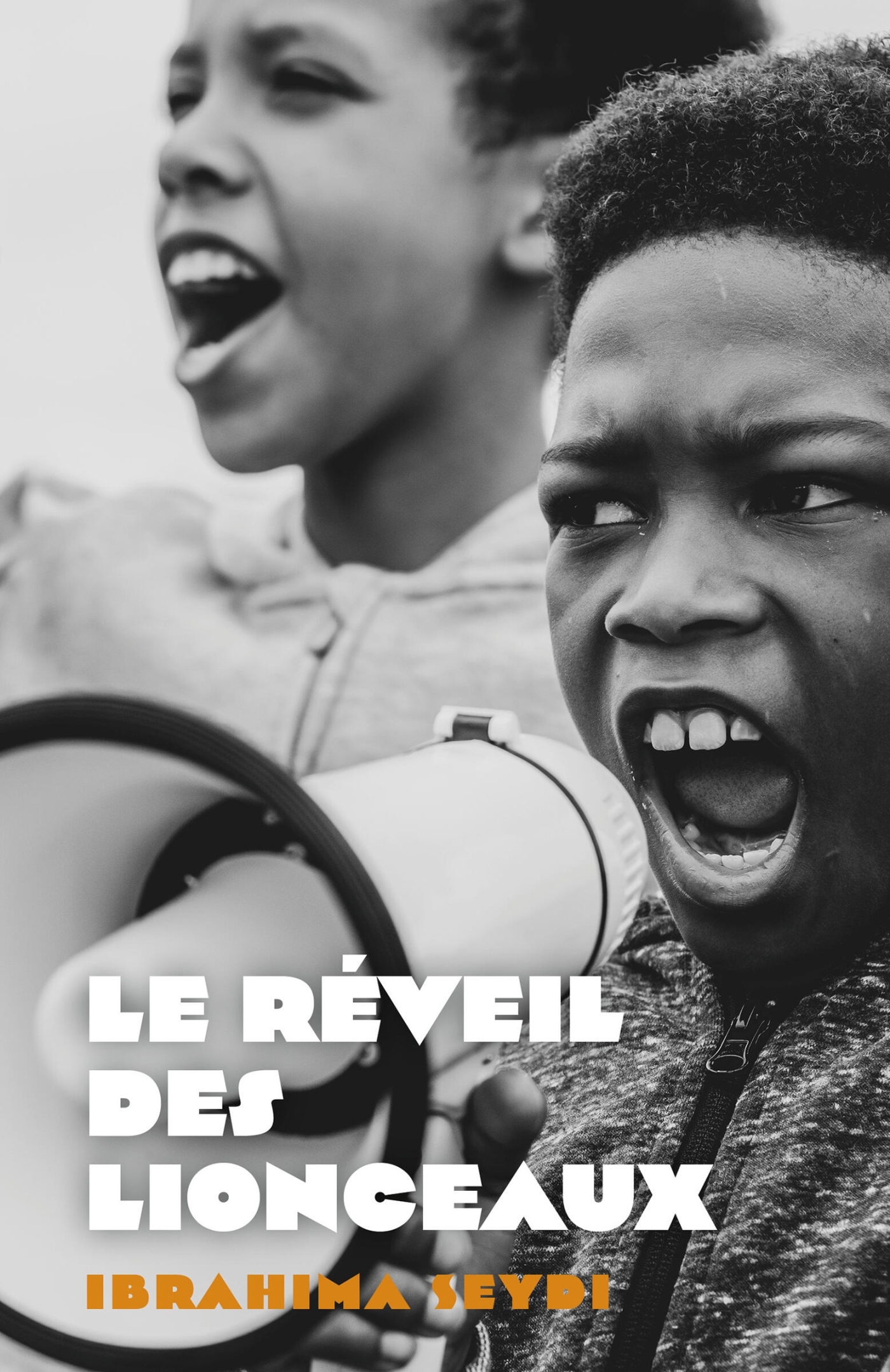 Le Réveil des Lionceaux