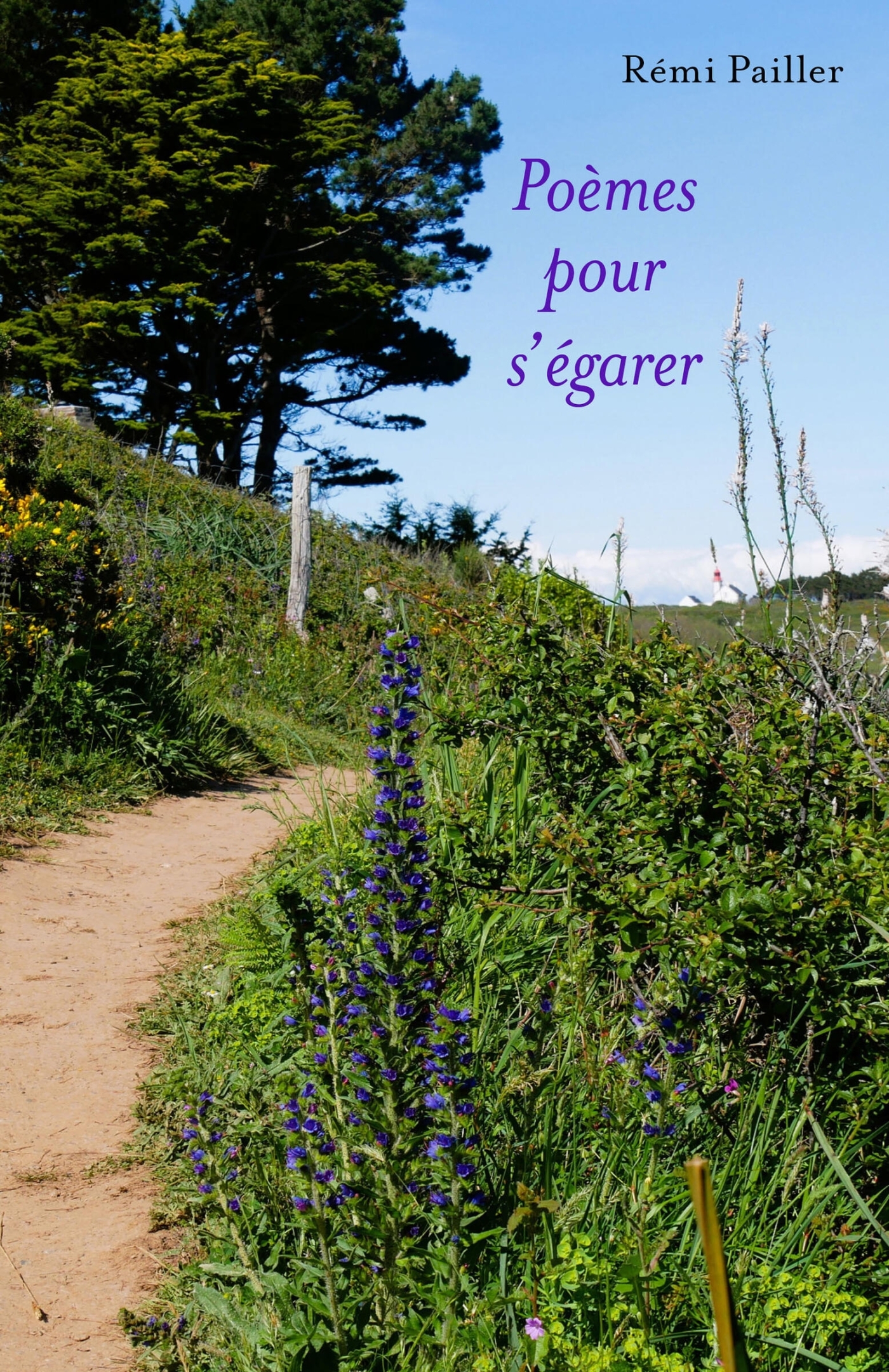 Poèmes pour s'égarer