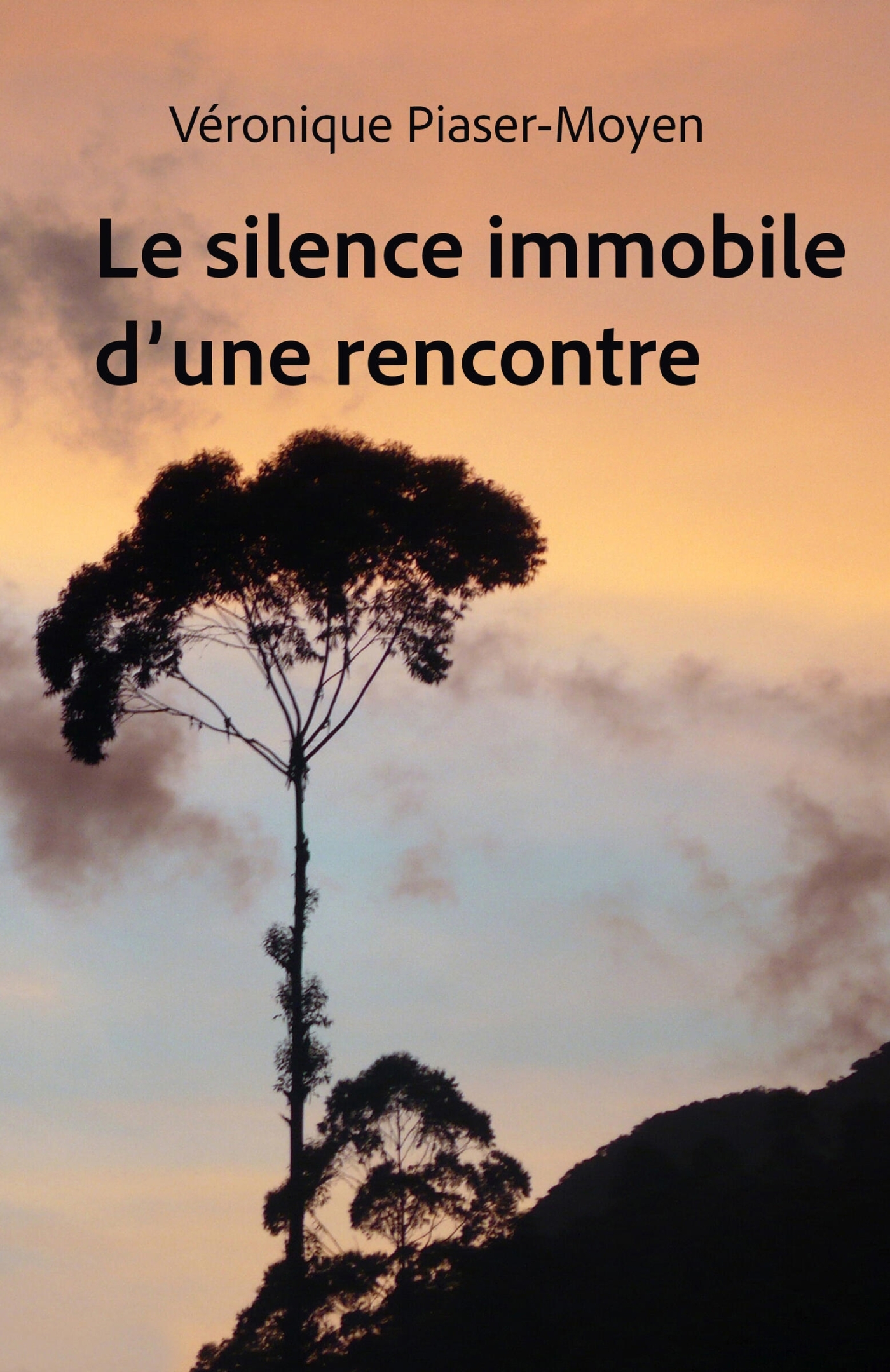 Le Silence immobile d'une rencontre