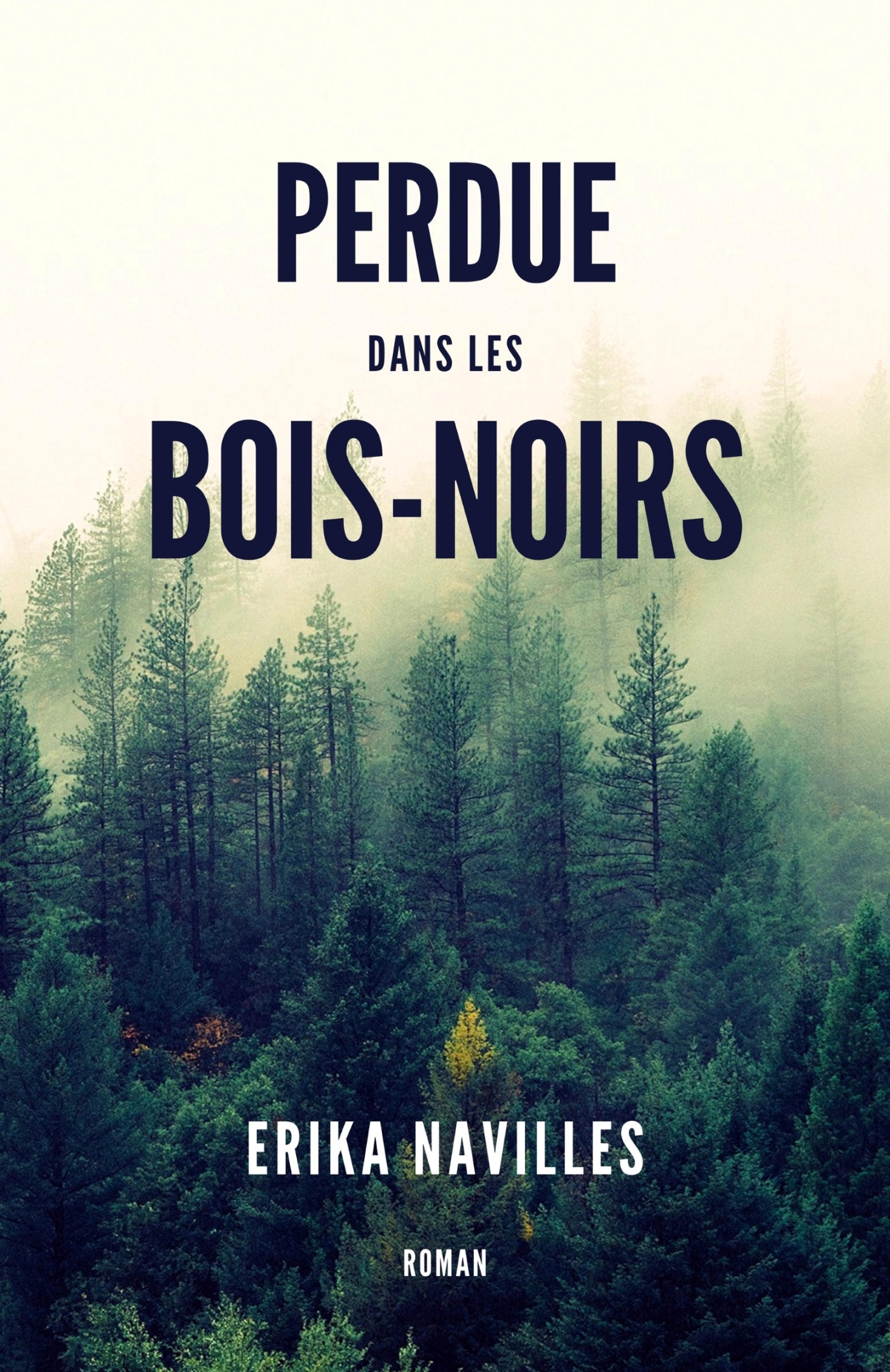 Perdue dans les Bois-Noirs