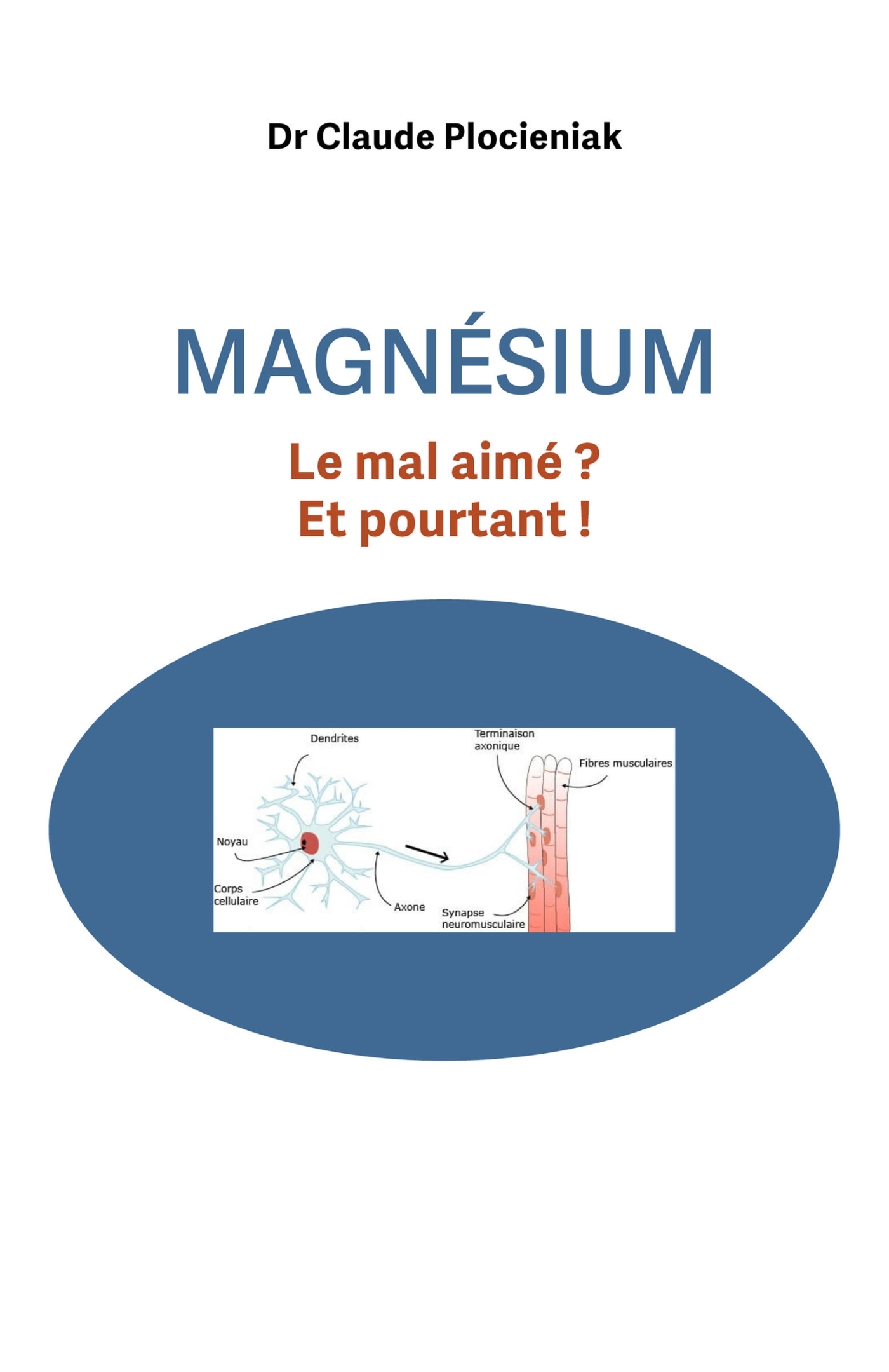 Magnésium