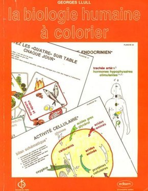 La biologie humaine a colorier
