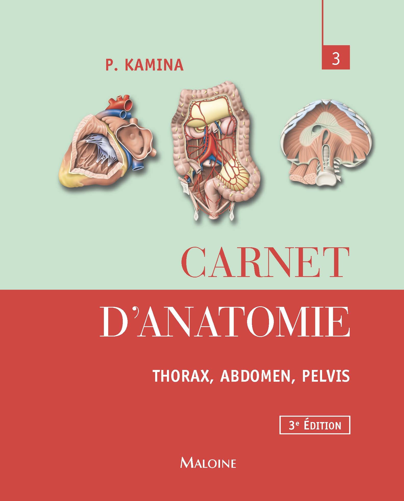 carnet d'anatomie. t3 :  thorax, abdomen, pelvis,  3e ed.