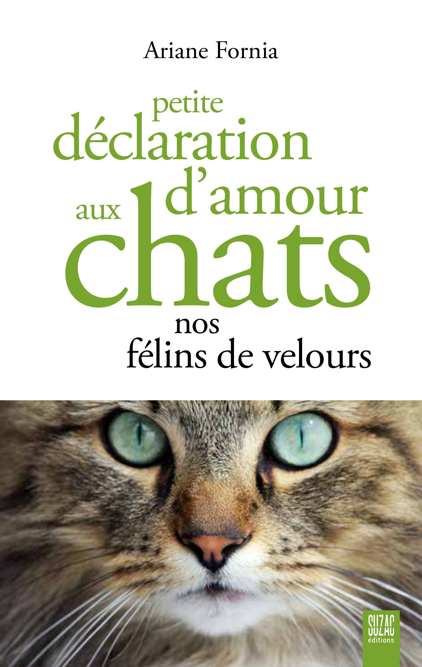 Petite déclaration d'amour aux chats