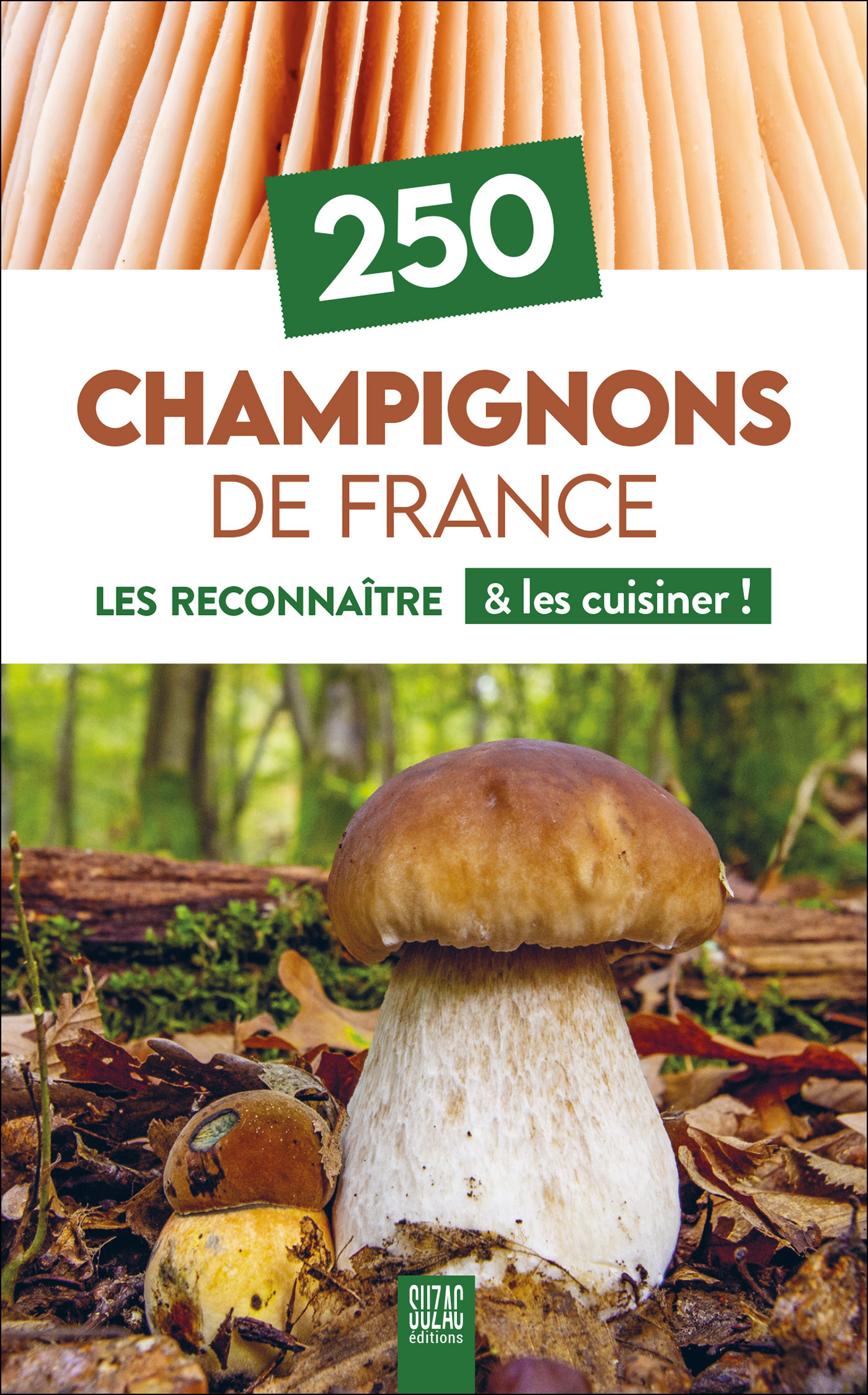 250 Champignons de France