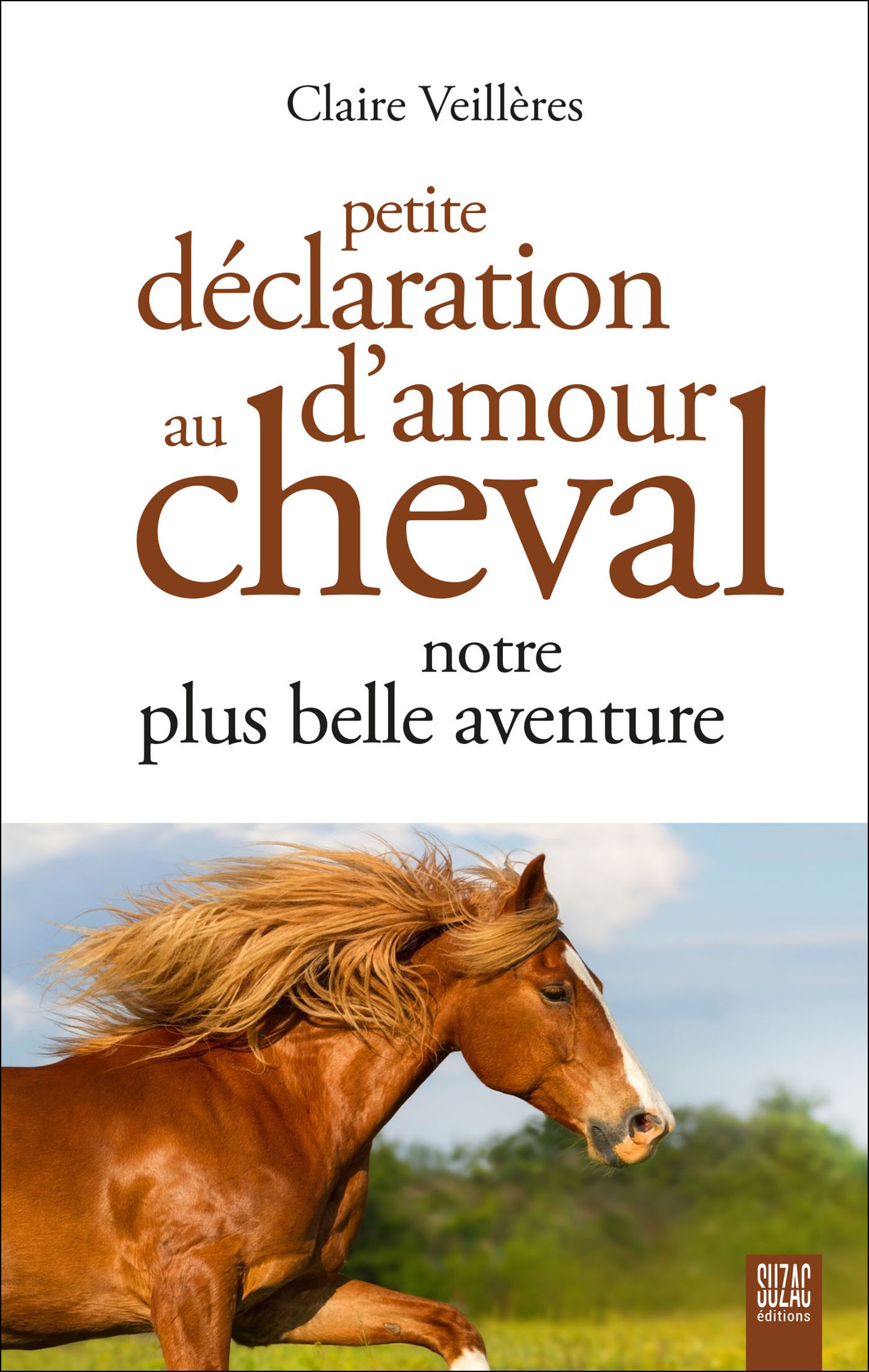 Petite déclaration d'amour au cheval, notre plus belle aventure