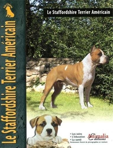 Le Staffordshire terrier américain