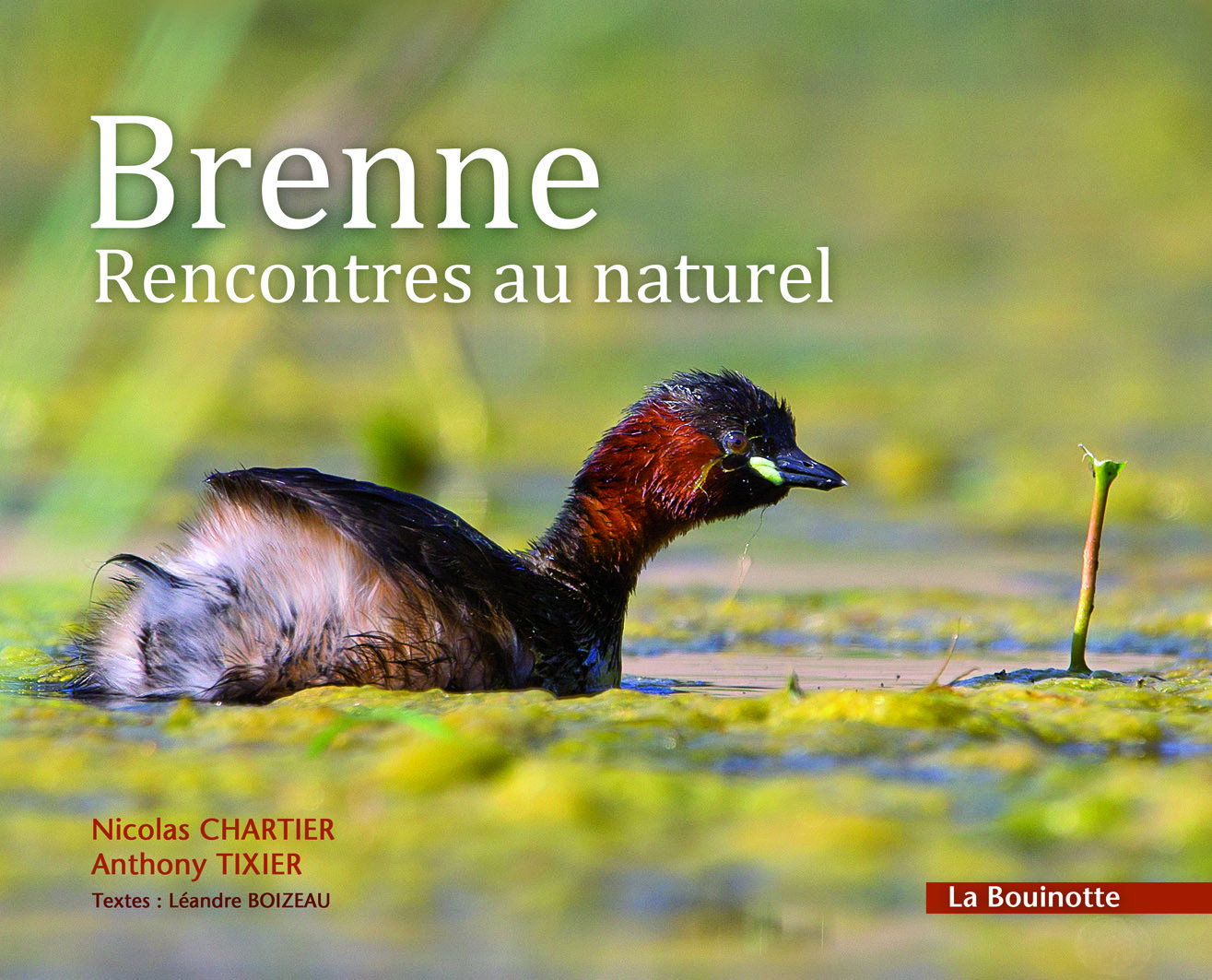 Brenne, rencontres au naturel
