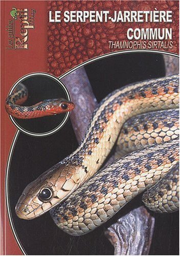 Le serpent-jarretière commun - Thamnophis sirtalis