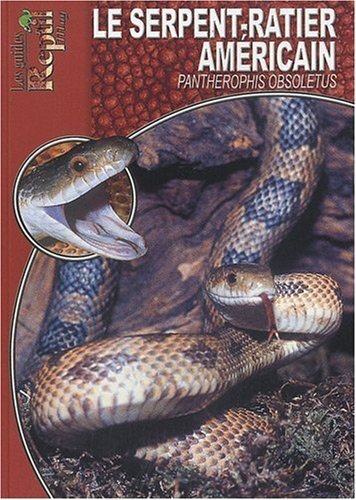 Le serpent-ratier américain - Pantherophis obsoletus, Elaphe obsoleta