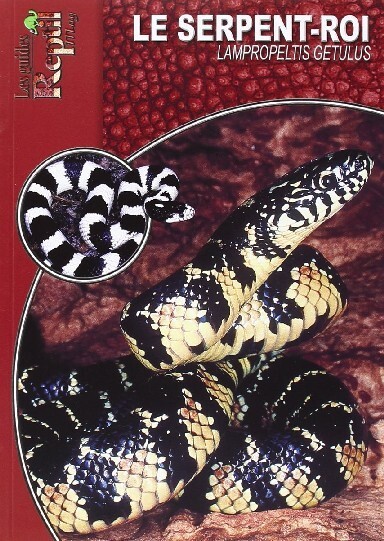 Le serpent-roi - Lampropeltis getula
