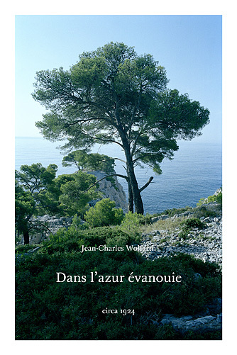Dans l'azur évanouie