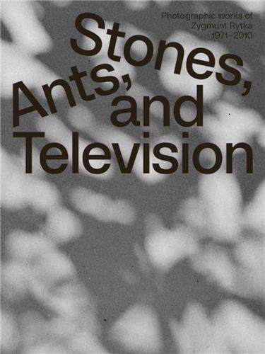 Zygmunt Rytka Stones Ants and Television /anglais