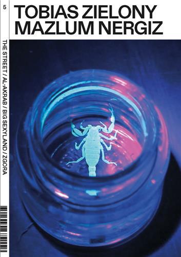 Tobias Zielony The Fall (Vol. 5) /anglais/allemand